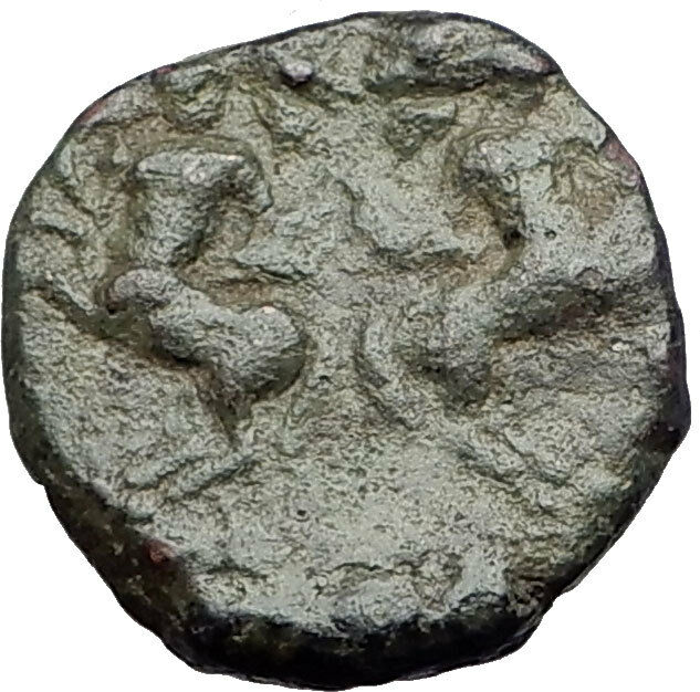 Read more about the article Thessalonica in Macedonia under Romans JANUS CENTAURS Ancient Greek Coin i60876