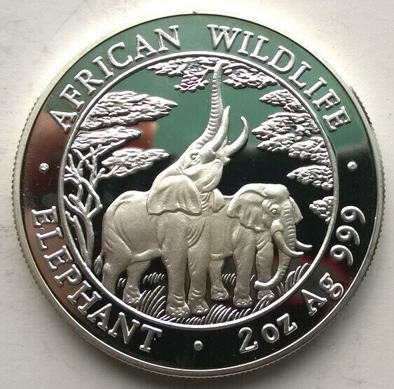 Read more about the article Zambia 2003 Elephant 10000 Kwach 2oz Silver Coin Proof