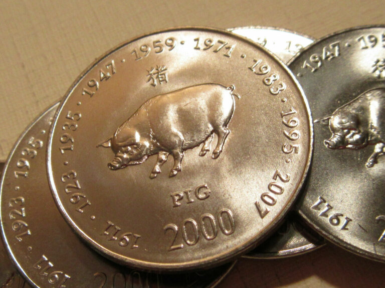 Read more about the article 2000 Somalia coin  Chinese Zodiac Calender Animal year of the PIG 10 coin !