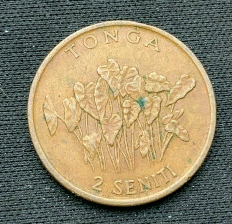 Read more about the article Tonga 1981     2 Seniti XF +     Bronze Coin     #K515