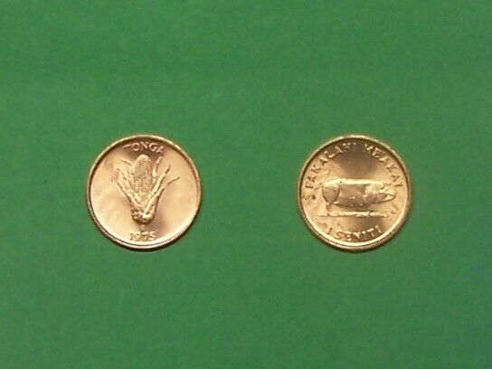 Read more about the article TONGA  1975  1 SENITI “EAR OF CORN”  KM42  UNCIRCULATED COIN