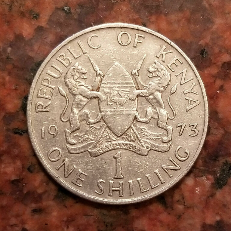 Read more about the article 1973 KENYA 1 SHILLING COIN – #A7373