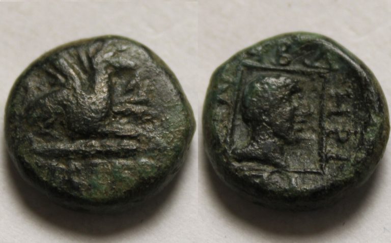 Read more about the article ABDERA THRACE 345BC Apollo square border Griffin Rare Genuine Ancient Greek Coin