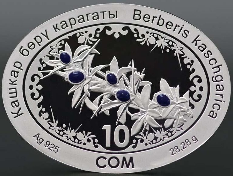 Read more about the article KYRGYZSTAN: 2022 silver enameled 10 Som Kashgar barberry Flower Red Book Proof