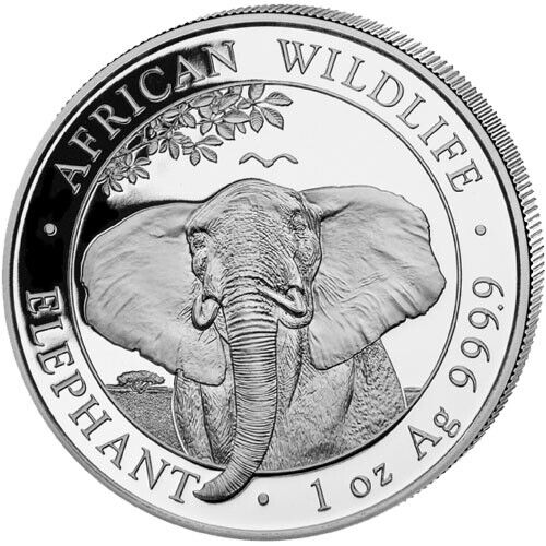 Read more about the article 2021 Somalia 1 oz Silver Elephant -100 Shillings Coin – BU – Fast FREE Shipping!