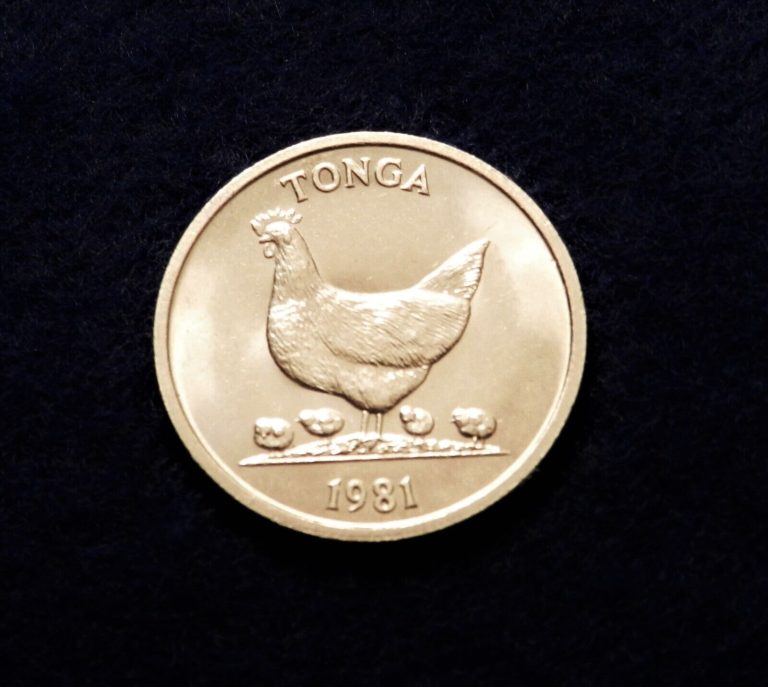 Read more about the article 1981 Tonga 5 Senti – Fantastic UNC Coin – Low Mintage SEE PICS