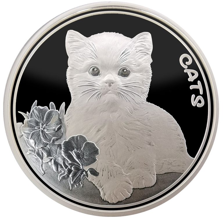 Read more about the article 2022 Fiji Cats 1 oz Prooflike silver coin 2nd Release in capsule