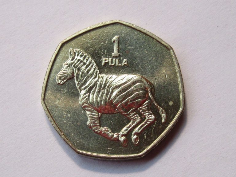 Read more about the article 1991 Botswana coin  1 Pula  ZEBRA  unc beauty  nice large coin  AFRICA ebayship