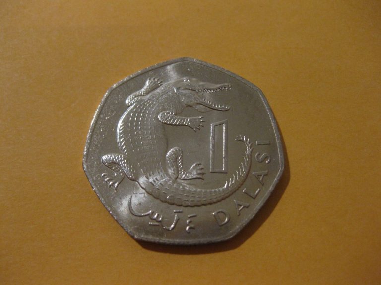 Read more about the article 1987 The Gambia coin 1 Dalasi  CROCODILE  UNC HIGH GRADE  Africa    ebay ship