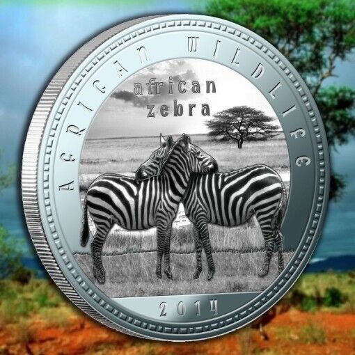 Read more about the article Zambia 1000 kwacha 2014 UNC Zebra Africa Wildlife Silver Plated Coin