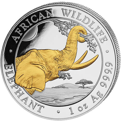 Read more about the article 2023 1 oz Somalia Silver Elephant Coin (Gilded  BU)