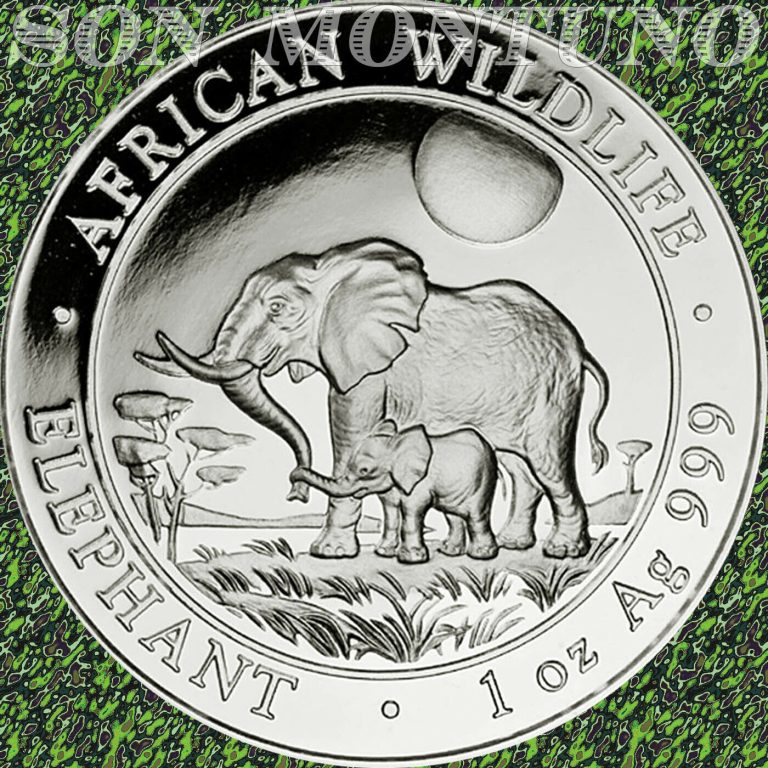 Read more about the article 2011 SOMALIA African Wildlife ELEPHANT 1 Troy Oz .999 Silver BU Coin in Capsule