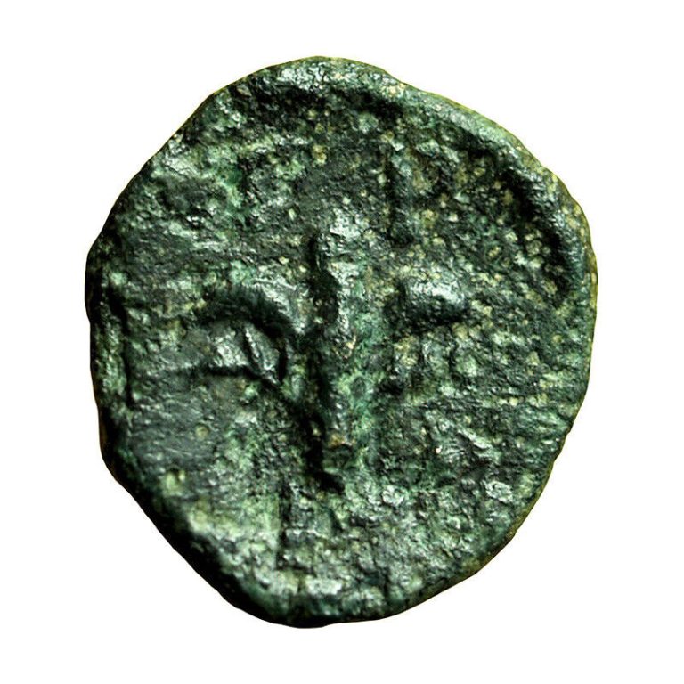 Read more about the article Ancient Greek Coin Tragilos Macedonia AE11mm Hermes / Rose 03939