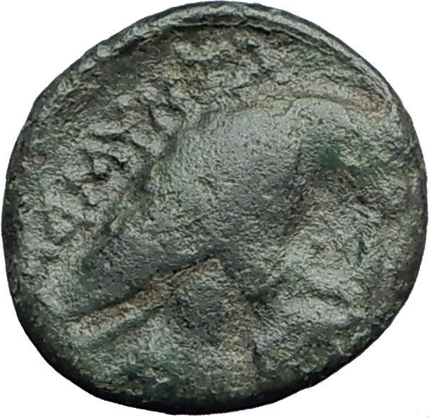 Read more about the article AMYNTAS III of Macedonia 393BC Hercules Eagle Serpent Ancient Greek Coin i62865