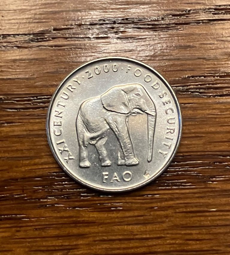 Read more about the article 2002 Somalia FAO 5 Shilling  nice animal coin of Africa