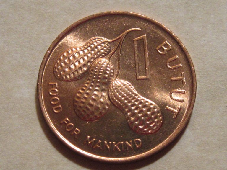 Read more about the article 1974 The Gambia coin  1 Butut  F.A.O.  PEANUTS   very sweet small coin ebayship