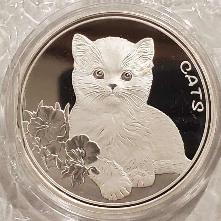 Read more about the article 2022 Fiji Cats 1 oz .999 Silver $0.50 Coin GEM BU Beautiful Kitten 2nd in Series