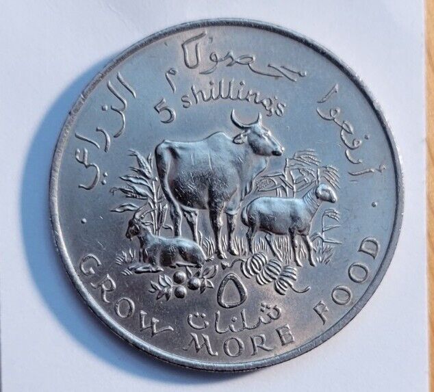 Read more about the article 1970 Somalia Republic 5 Shillings World Animal Coin