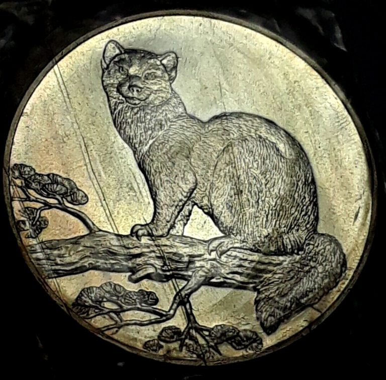 Read more about the article 1995 Russia  3 Rubles Sable .925 Silver Coin Weight 31 gr. Mintage 500.000