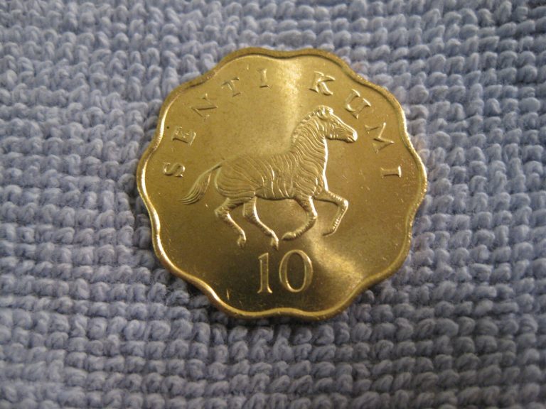 Read more about the article 1984 Tanzania coin 10 Senti   ZEBRA   unc Beauty  animal coin  Sweet  ebayship