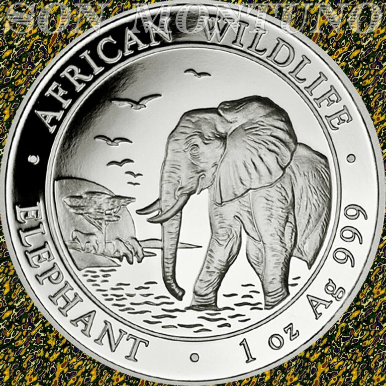 Read more about the article 2010 SOMALIA – African Wildlife ELEPHANT – 1 Troy Oz .999 Silver Coin in Capsule