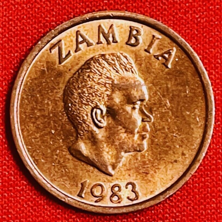 Read more about the article 1983 ZAMBIA Coin 2 Ngwee Africa Money Foreign World Collectible Old Coins