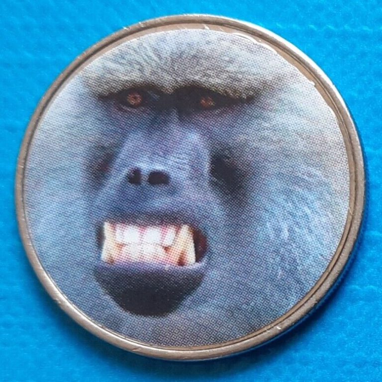 Read more about the article Namibia 50 cents 2020 UNC Baboon Monkey unusual coin