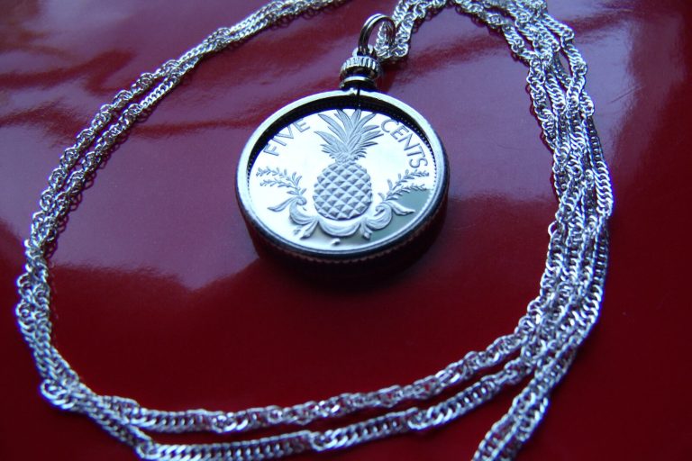 Read more about the article Big Pineapple Pride Coin Pendant on a 30″ 925 Silver Wavy Twist Chain