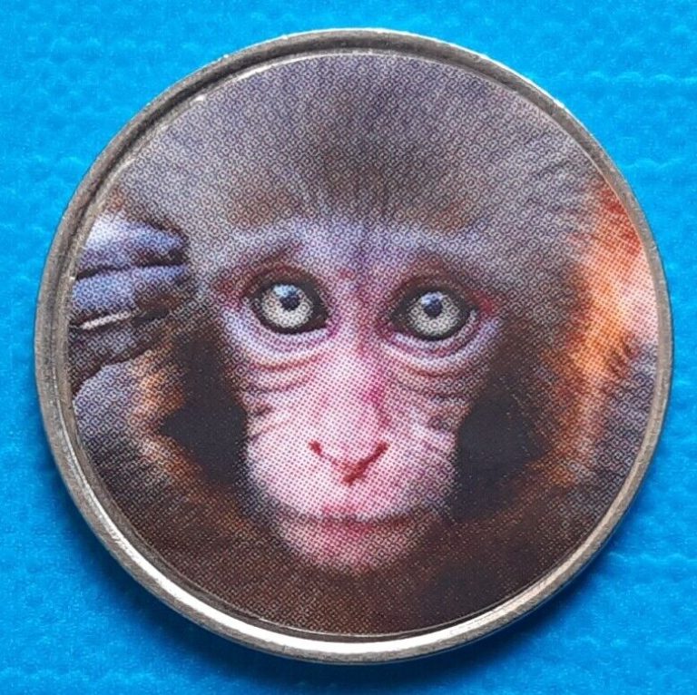 Read more about the article Namibia 50 cents 2020 UNC Baby Monkey unusual coin