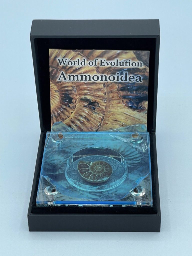 Read more about the article 1 oz Silver Coin *World of Evolution * Ammonoidea* 2016 Burkina Faso 1000 francs