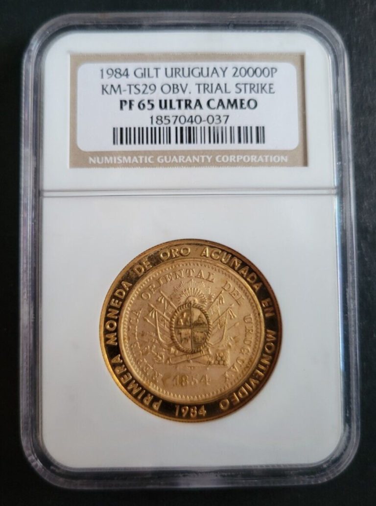 Read more about the article RARE **TRIAL STRIKE** 1984 Uruguay Copper Gilt 20 000 Pesos KM-TS29 OBV NGC PF65