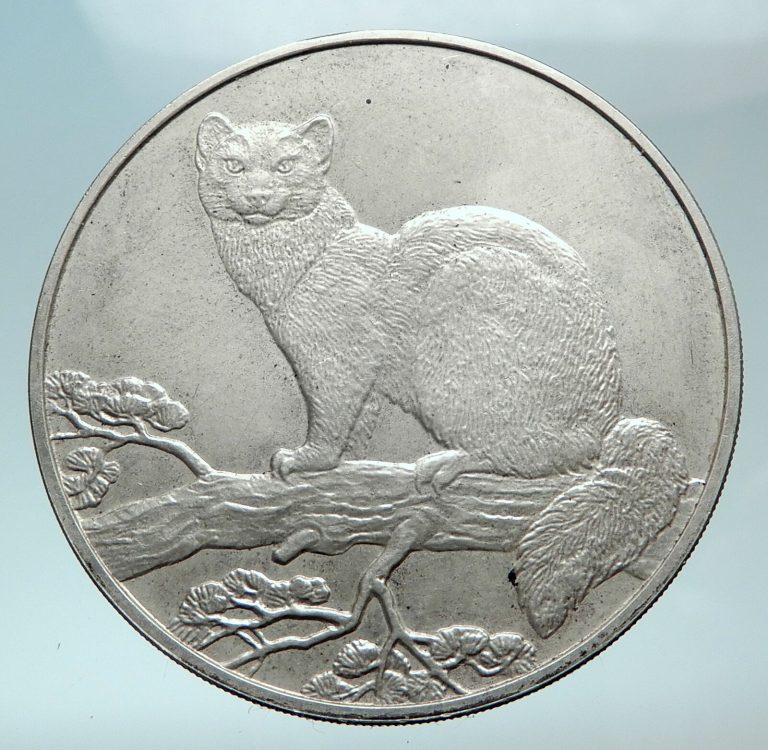 Read more about the article 1995 RUSSIA Sable FUR Cat Tiger Lynx Fox Genuine Silver Proof 3Ruble Coin i81096