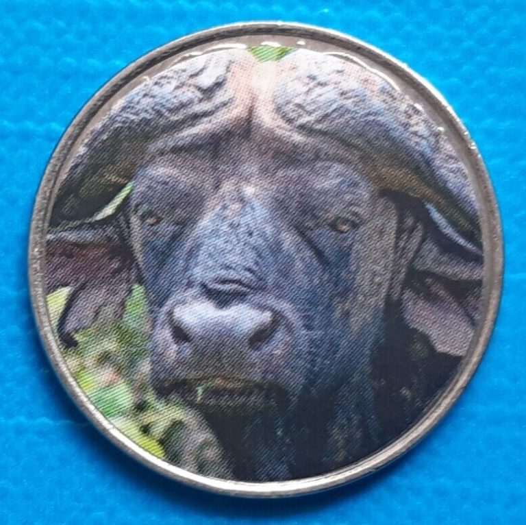 Read more about the article Namibia 50 cents 2020 UNC Buffalo unusual coin