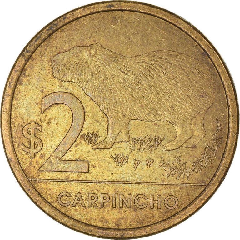 Read more about the article Uruguayan Coin Uruguay 2 Pesos | Capybra | 2011 – 2019