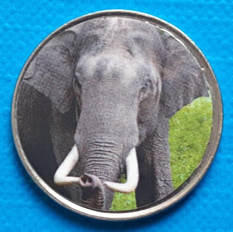 Read more about the article Namibia 50 cents 2020 UNC Elephant unusual coin