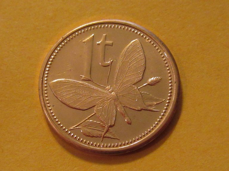 Read more about the article 2002 Papua New Guinea  1 Toea Butterfly coin   unc beauty  classic coin ebayship