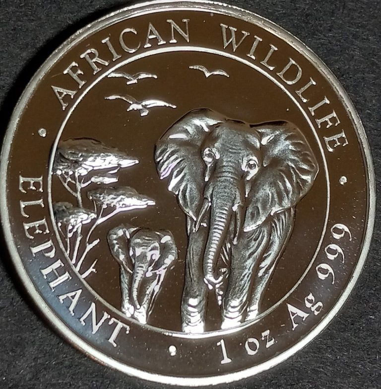 Read more about the article 2015 Somalia Elephant Brilliant Uncirculated 1 oz. Silver 100 Shillings Coin