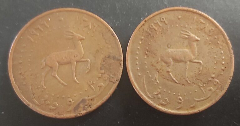 Read more about the article 1966 and 1969 QATAR and DUBAI 2 X 5 DIRHAMS LOT OF 2 DIFFERENT COINS!