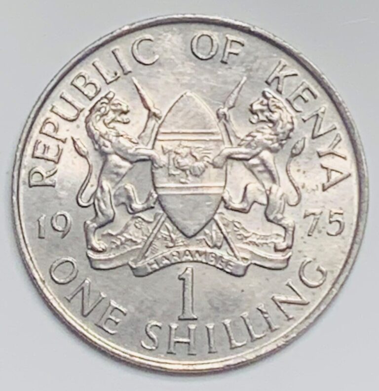 Read more about the article 1975 Kenya Shilling KM# 14 Circulated Condition