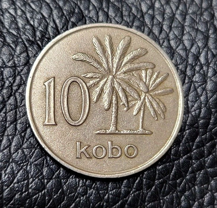 Read more about the article 1973 Nigeria 10 Kobo coin