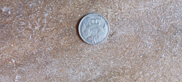Read more about the article Lebanon 1929 10 Piastres EF