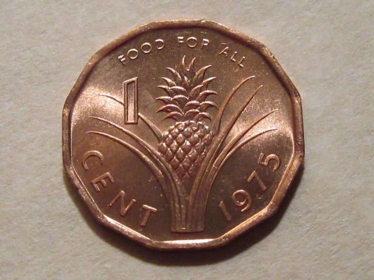 Read more about the article 1975 Swaziland 1 Cent PINEAPPLE coin  unc Beaut  Sweet!!  F.A.O. issue ebayship