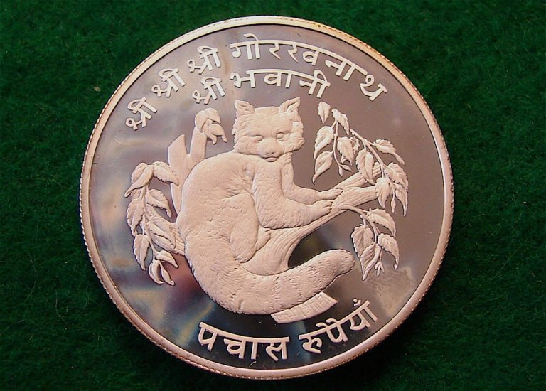 Read more about the article Nepal 1974 —-Large 50 Rupee Silver Proof Coin—-Red Panda—Uncirculated Coin