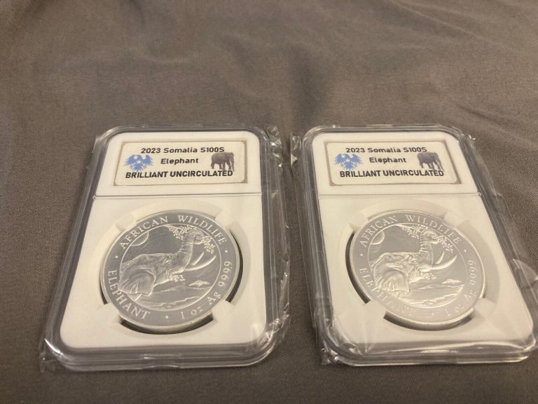 Read more about the article Somalia 2023 100 Shillings 1oz Silver Elephant Brilliant Uncirculated Slabbed