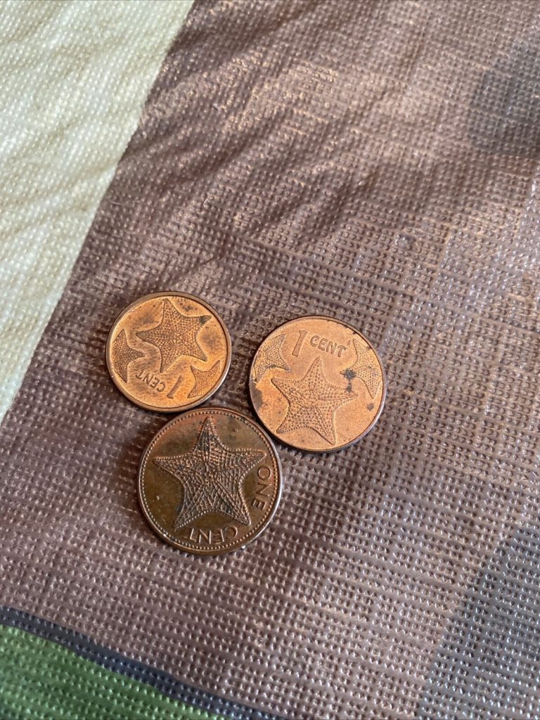 Read more about the article 3 Different BAHAMAS CENT COINS- Starfish