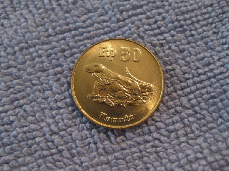 Read more about the article 1998  Indonesia coin 50 R   Komodo dragon classic coin uncirculated   ebay ship