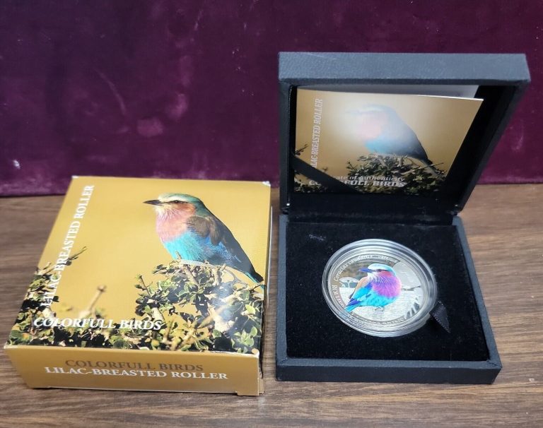 Read more about the article 2013 Rep. of Burkina Faso (Africa) 500 Francs Silver Coin Lilac-Breasted Roller