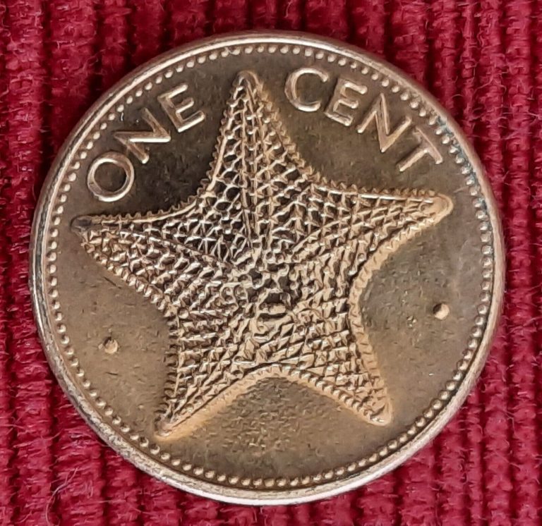 Read more about the article BAHAMAS 1995 One Cent coin BRILLIANT UNCIRCULATED lowest price this NICE
