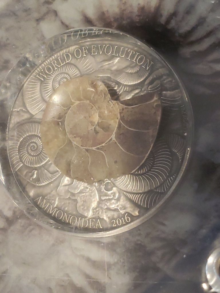 Read more about the article One ounce Silver Burkina Faso 2016 Ammonoidea World Of Evolution. Actual Fossil