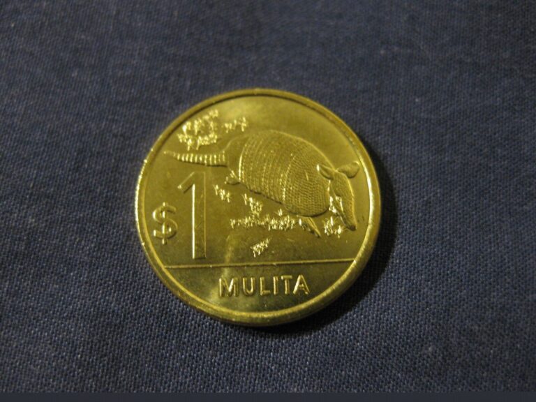 Read more about the article Uruguay 2012 1 Peso Armadillo coin  nice Uncirculated coin animal